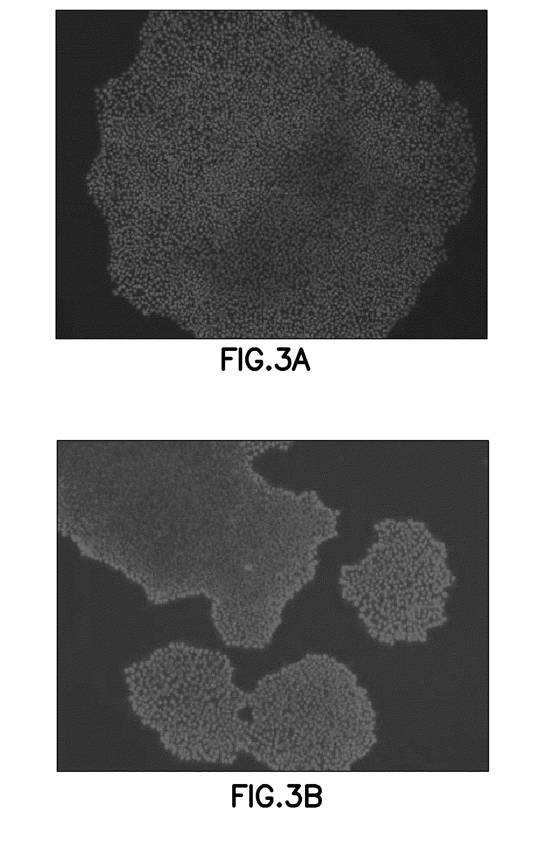 Defined cell culturing surfaces and methods of use