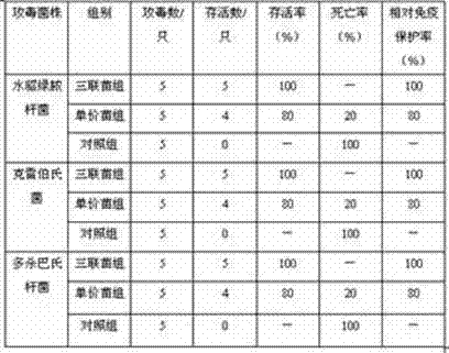 Pseudomonas aeruginosa, klebsiella and pasteurella triple-inactivated vaccine for mink