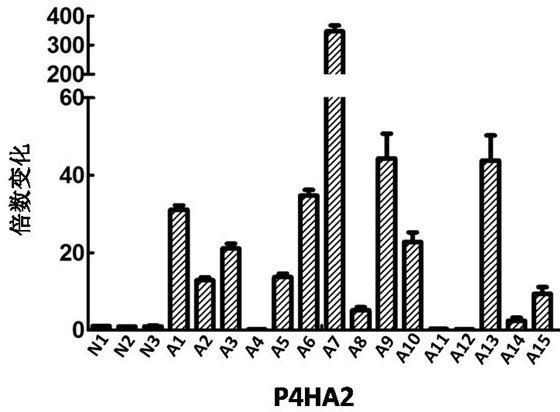 b Lymphoma and leukemia detection markers, kits and applications thereof