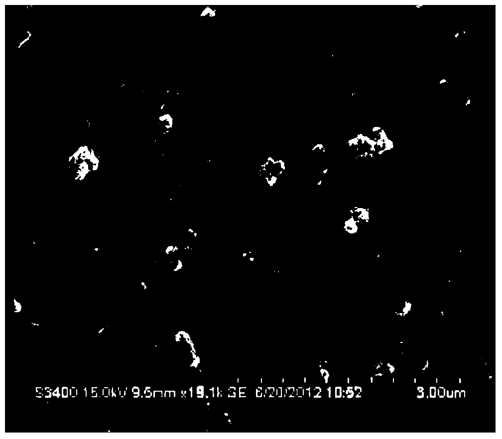 Method for synthesizing flower-shaped silver micro-particles