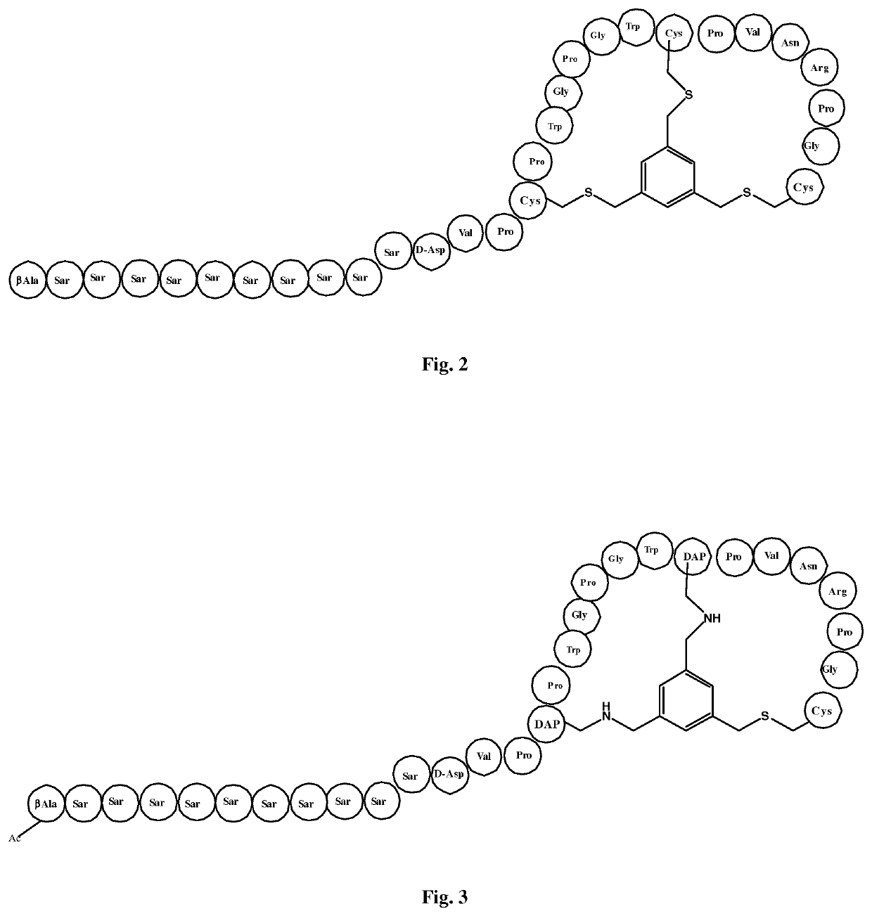 PEPTIDE LIGANDS FOR BINDING TO EphA2