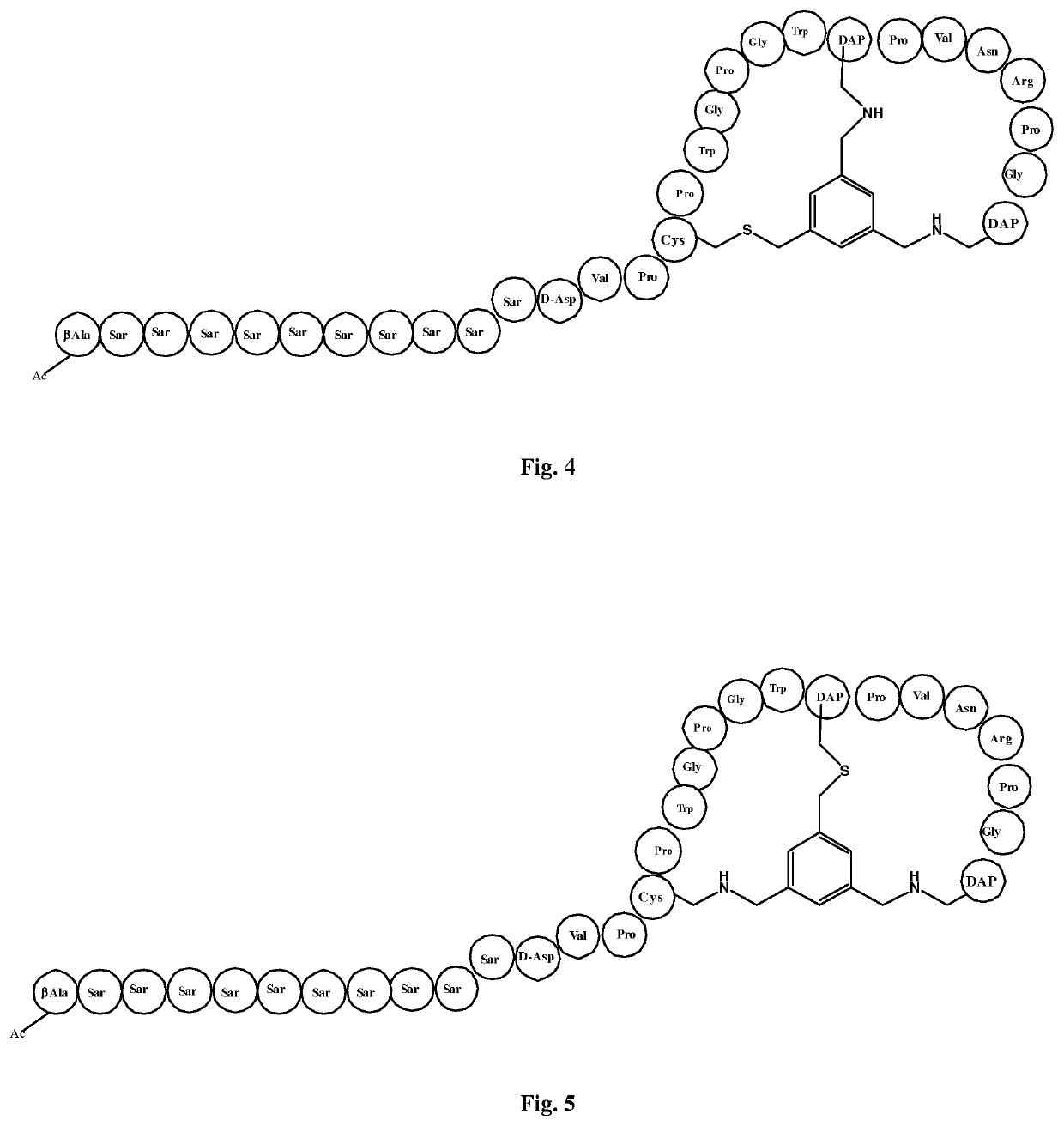 PEPTIDE LIGANDS FOR BINDING TO EphA2