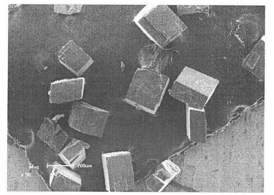 Hydrothermal fluorine-free synthesis method of AlPO4-34