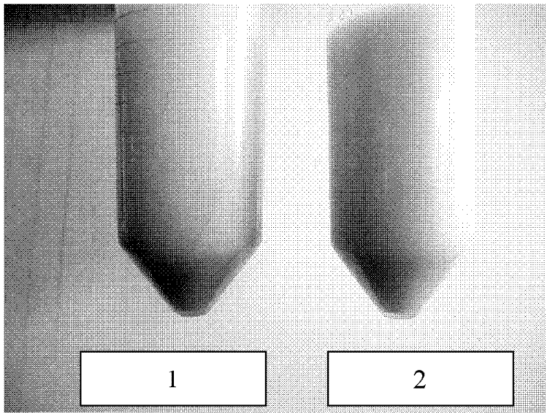 Method for preparing neutral oat concentrate by activation of spores and stabilization of proteins