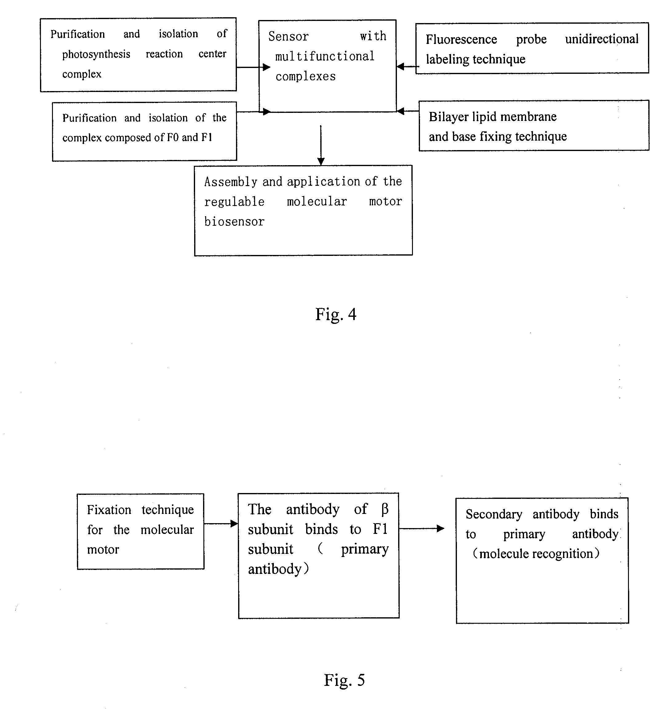 Adjustable molecular motor micropower biosensor and its application