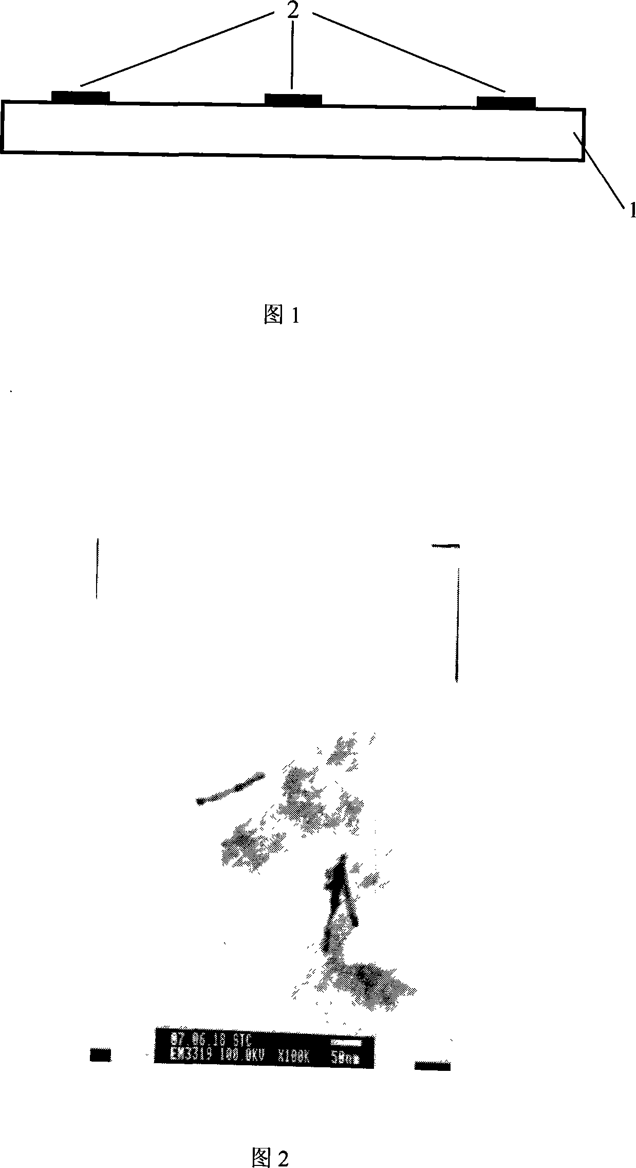 Method for preparing nano-stick array electrode capable of self-assembling after dispersing