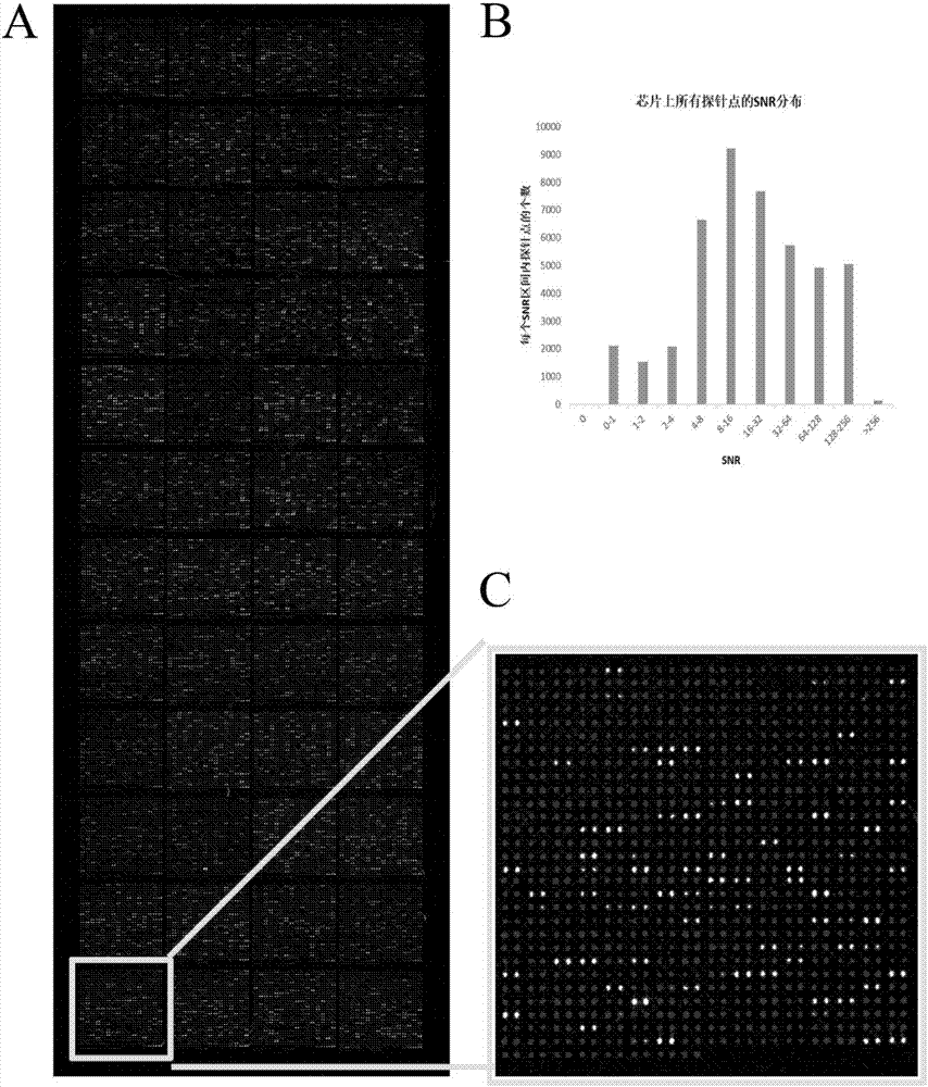 ACPA-negative RA diagnosis marker and application thereof