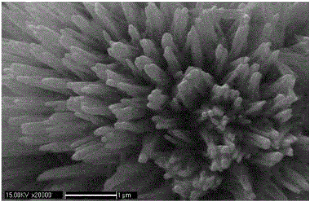 Surface-enhanced Raman scattering substrate and its preparation method and application