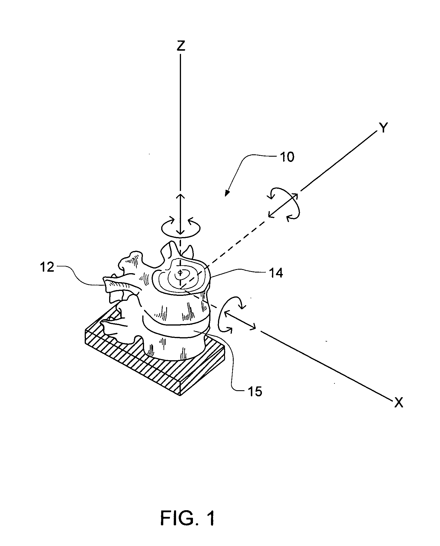 Multi-axis, programmable spine testing system