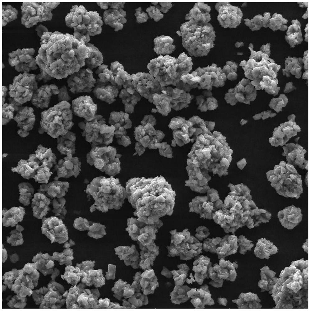 Silicon-carbon negative electrode material with porous surface and tiny hollow spheres and preparation method of silicon-carbon negative electrode material