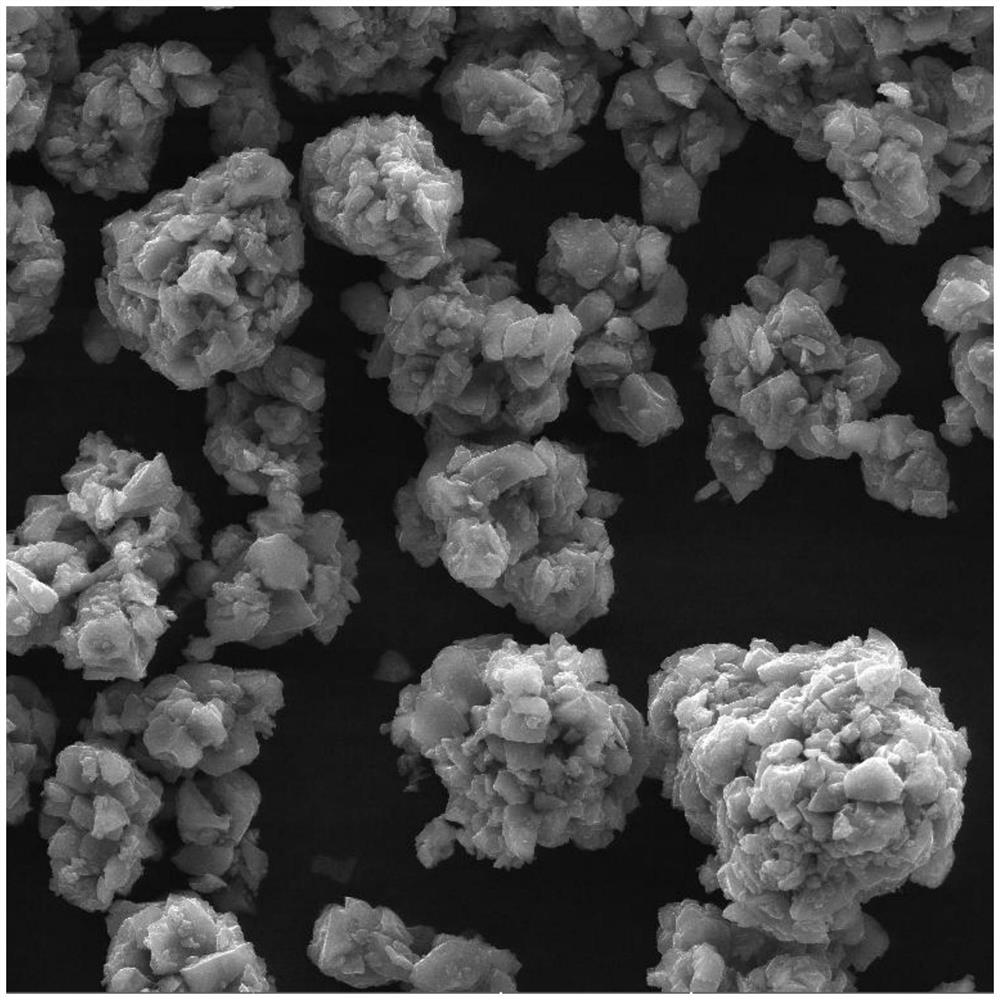 Silicon-carbon negative electrode material with porous surface and tiny hollow spheres and preparation method of silicon-carbon negative electrode material