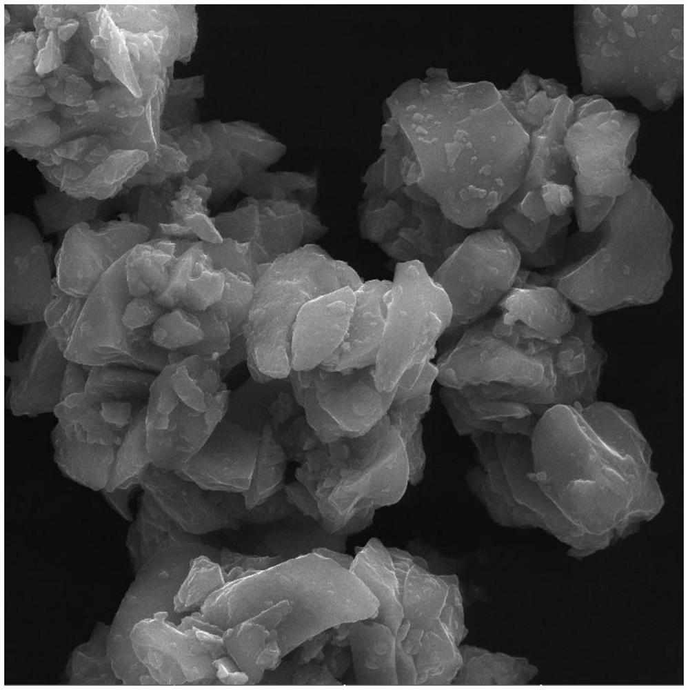 Silicon-carbon negative electrode material with porous surface and tiny hollow spheres and preparation method of silicon-carbon negative electrode material