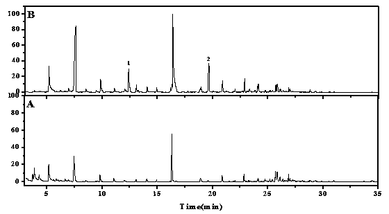 Deep processing method of Elaeagnus conferta fruits