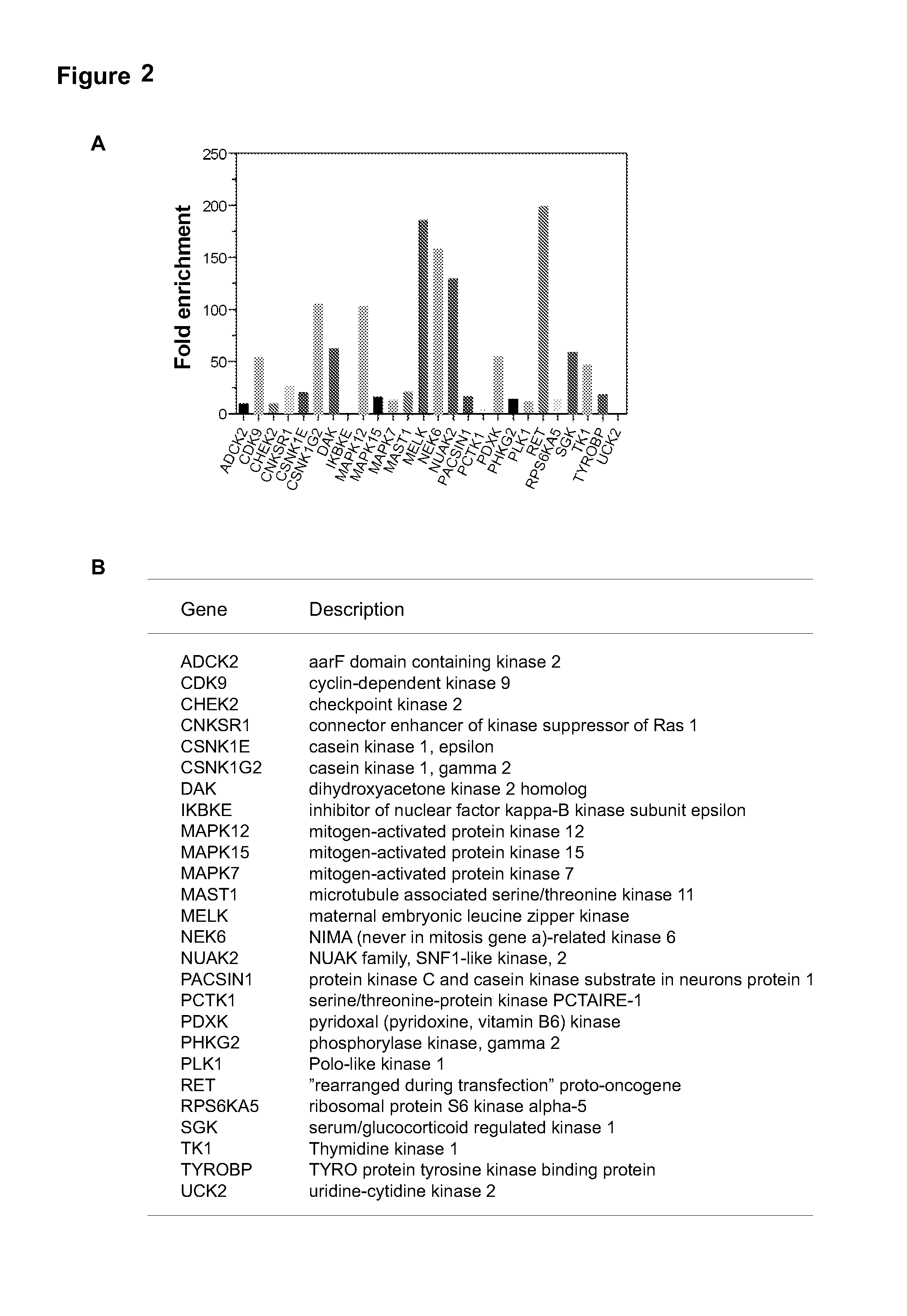 MELK regulation for the treatment of breast cancer