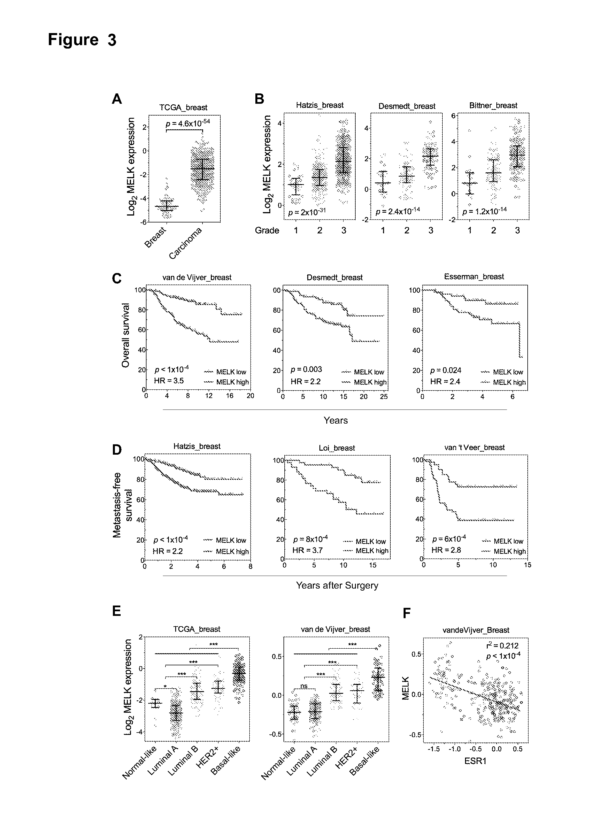 MELK regulation for the treatment of breast cancer