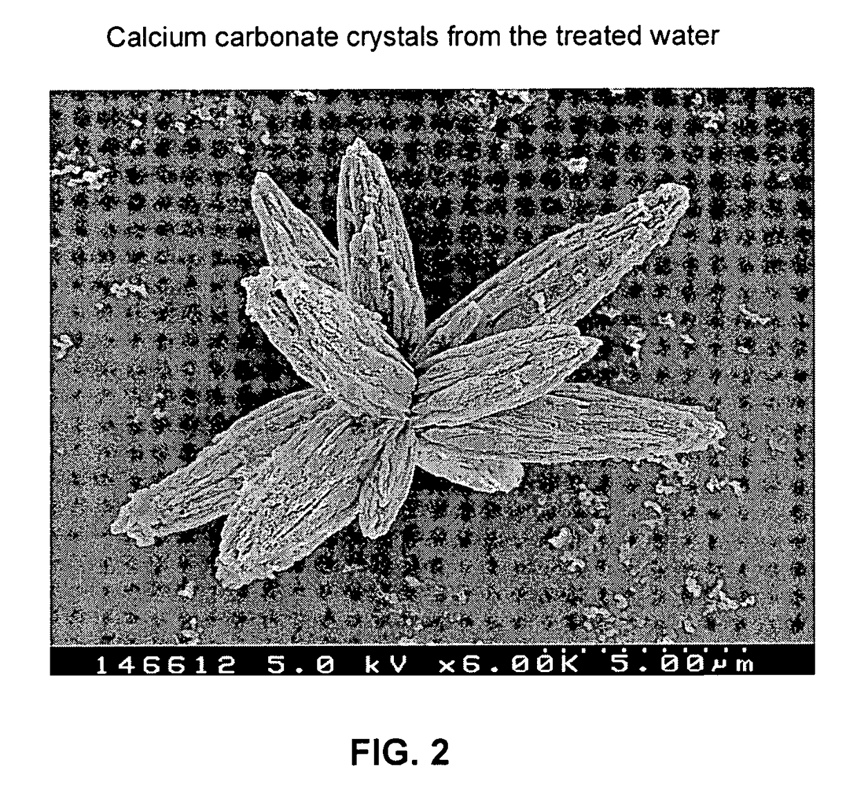 Systems and methods for treatment of liquid solutions for use with livestock operations