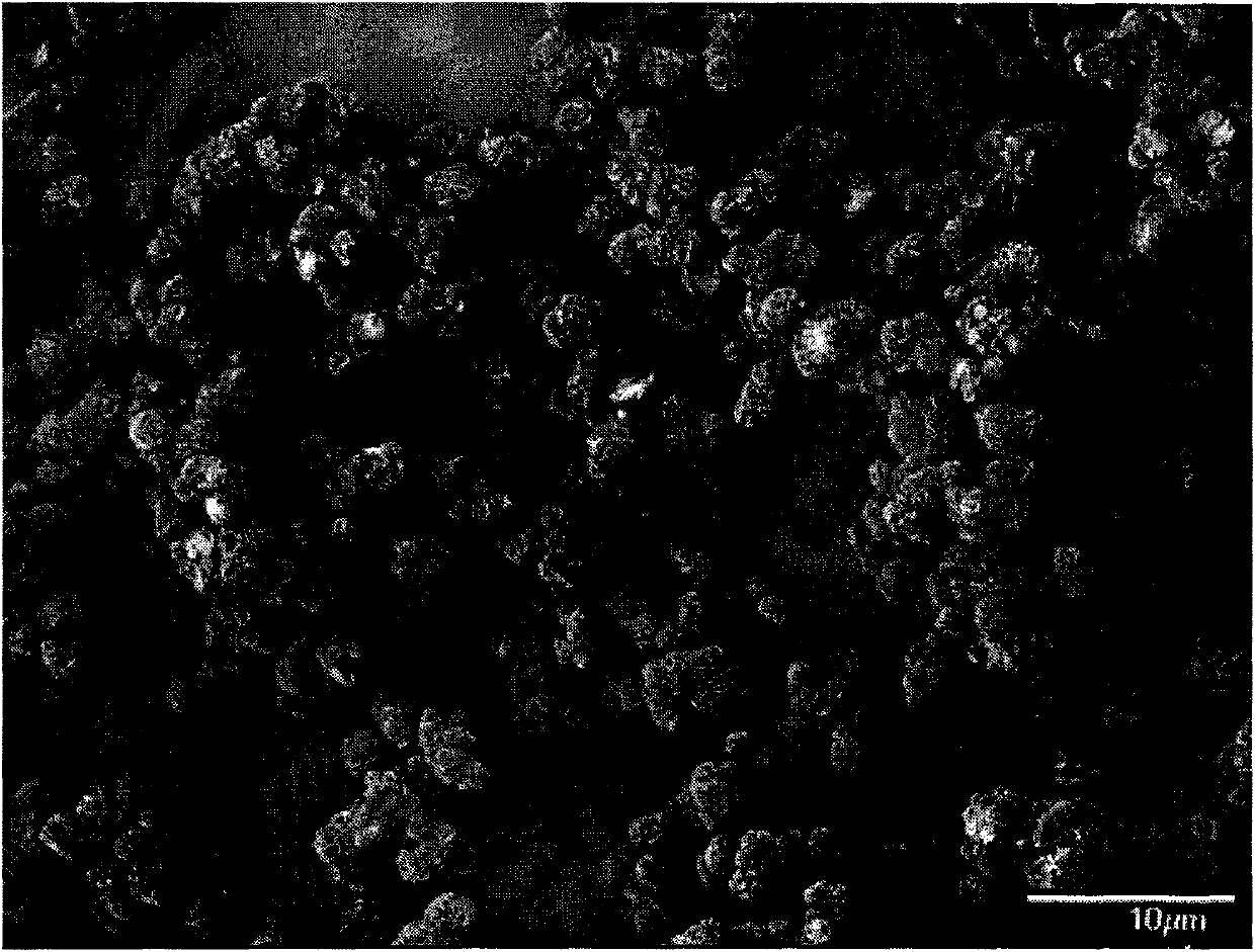 Tin-based composite oxide material as well as preparation method and application thereof