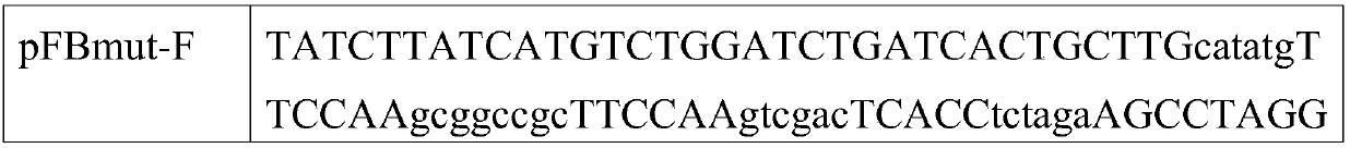 Avian influenza virus-like particle antigen and preparation method and application thereof