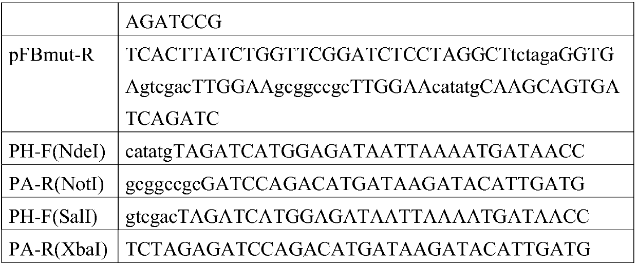 Avian influenza virus-like particle antigen and preparation method and application thereof