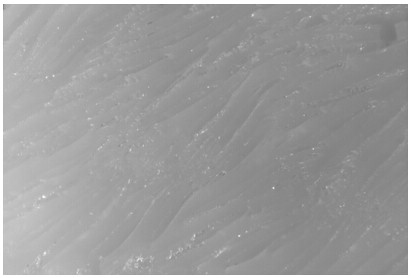 Preparation method of waterborne polyurethane/inorganic nanocomposite coating with biomimetic micropatterning