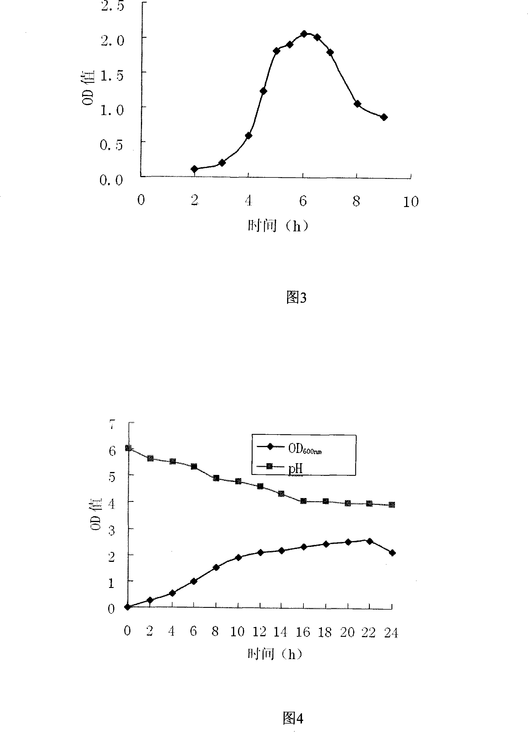 Oxidation resistant Lactobacillus casei capable of resisting hydrogen peroxide and eliminating free radical, and use thereof