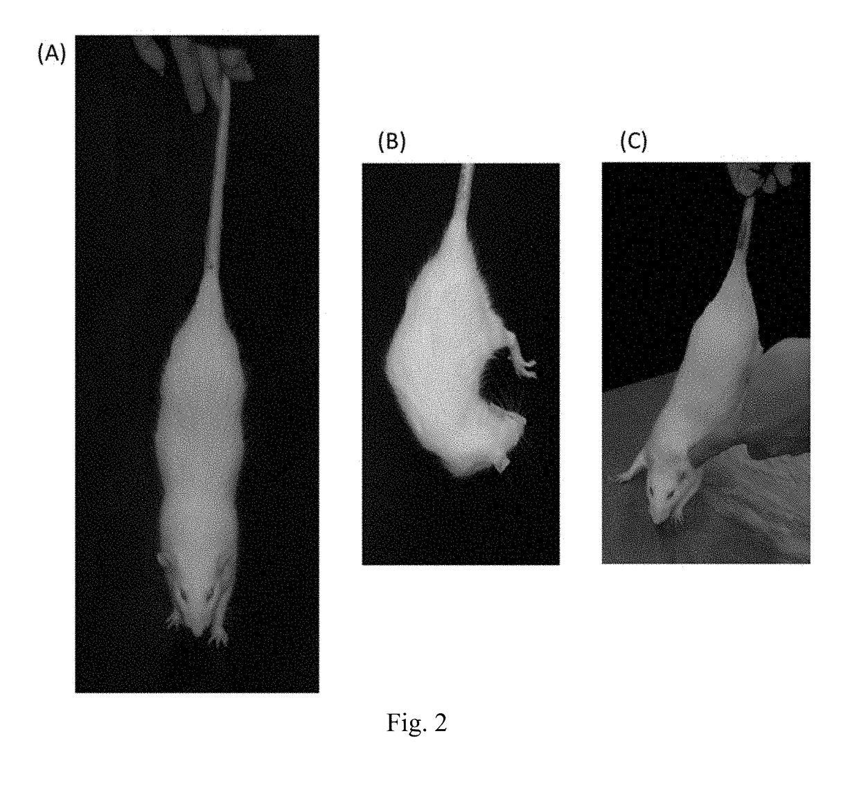 Method for treating stroke or reducing nerve injury