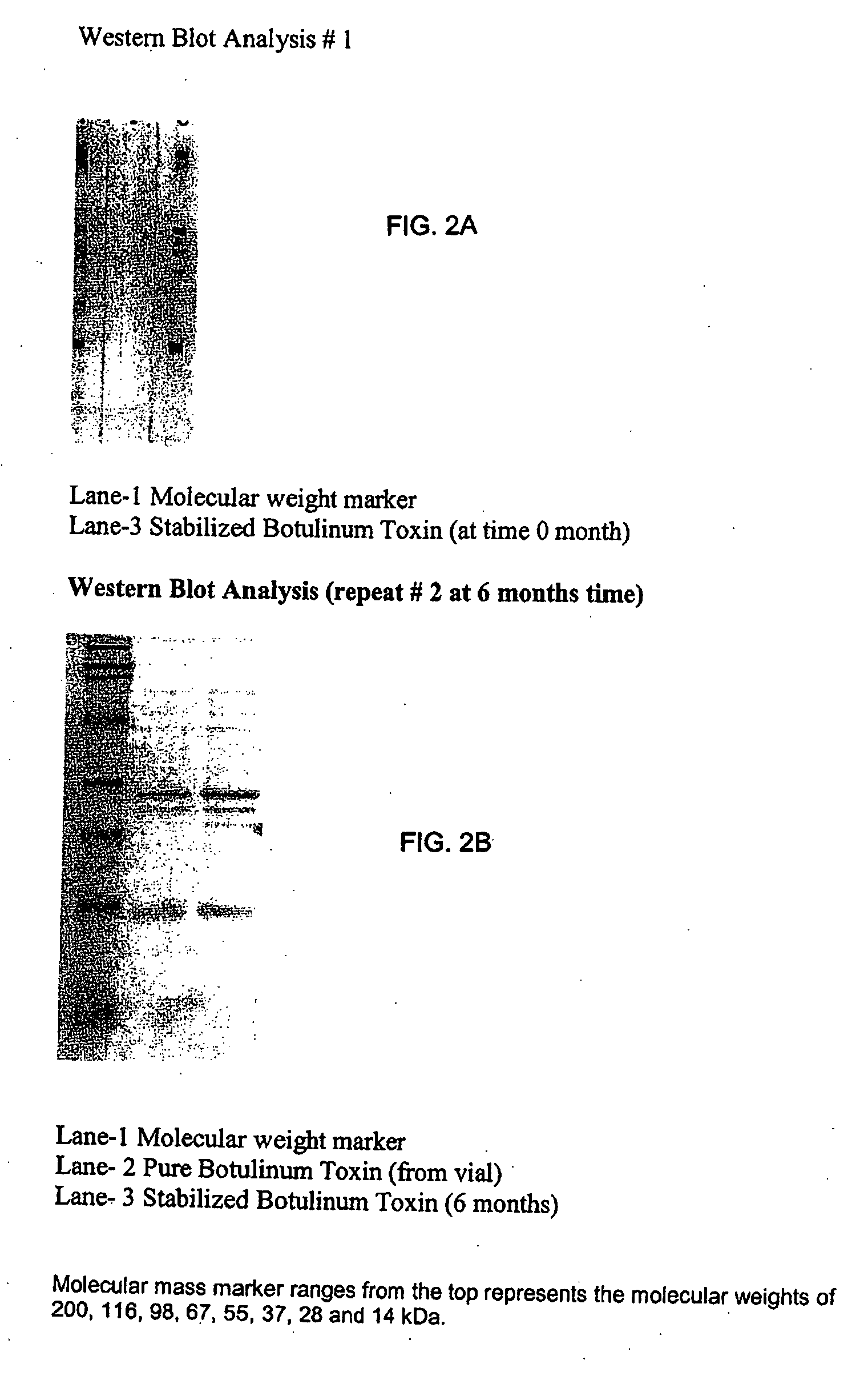 Stabilized compositions for topical administration and methods of making same