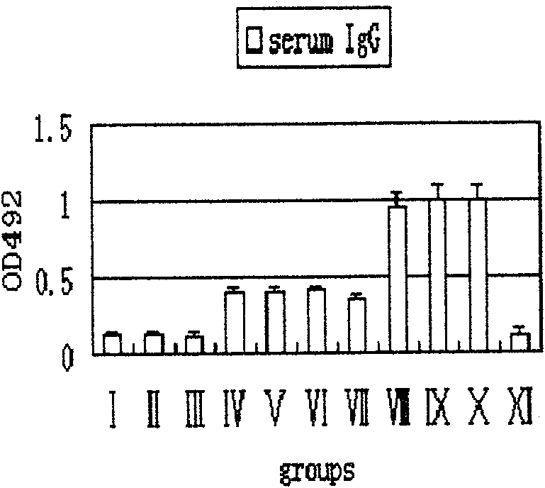 Pyloric spiral bacillus antigen recombinant vaccine