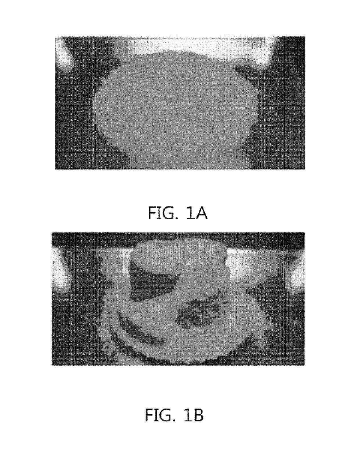 Super absorbent resin having improved solidification resistance, and method for preparing same