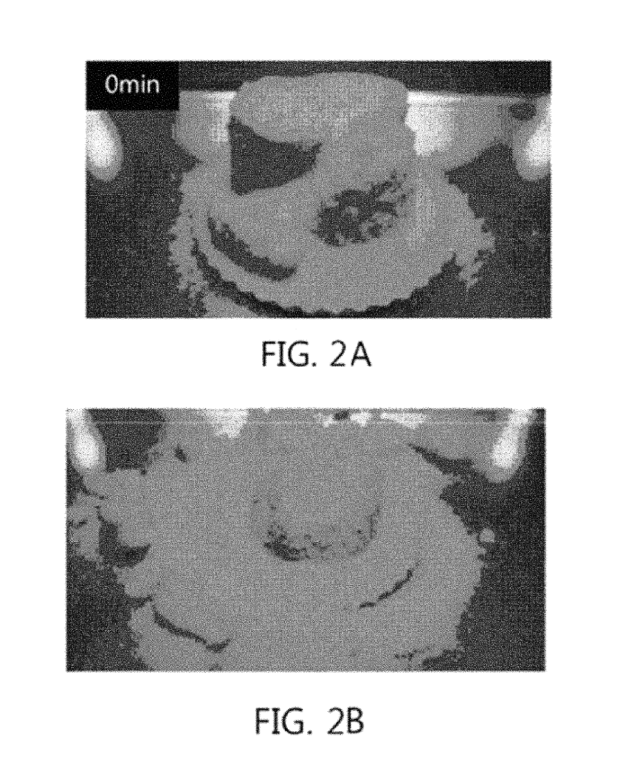 Super absorbent resin having improved solidification resistance, and method for preparing same