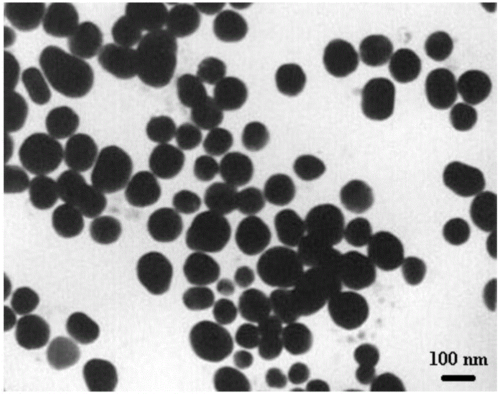 Method for preparing nanometer precious metal shell and magnetic core composite particle through self-assembling