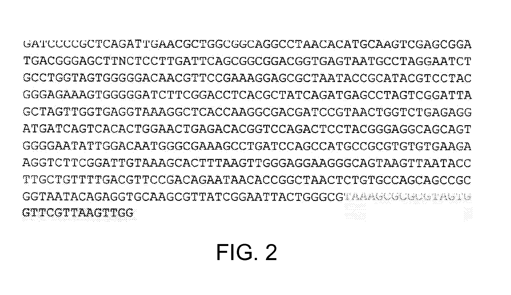 Pseudomonas sp. strain and method of producing chitinase, chitosanase and nattokinase using the same