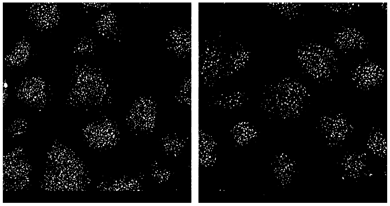 A kind of preparation method of graphene-silicon carbon lithium ion battery negative electrode material