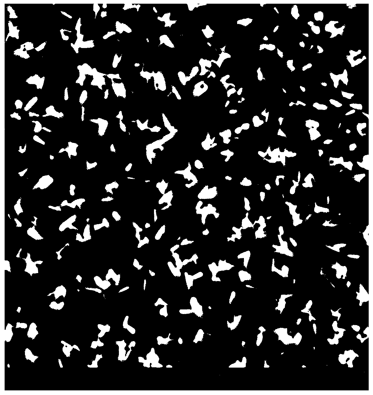 Photoelectric material with CuO nanoparticle modified ZnO nanowire array, preparation and application