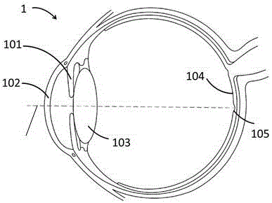 Head-mounted three-dimensional display device