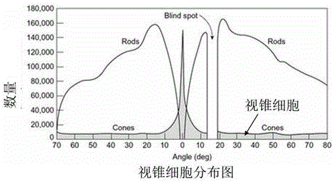 Head-mounted three-dimensional display device