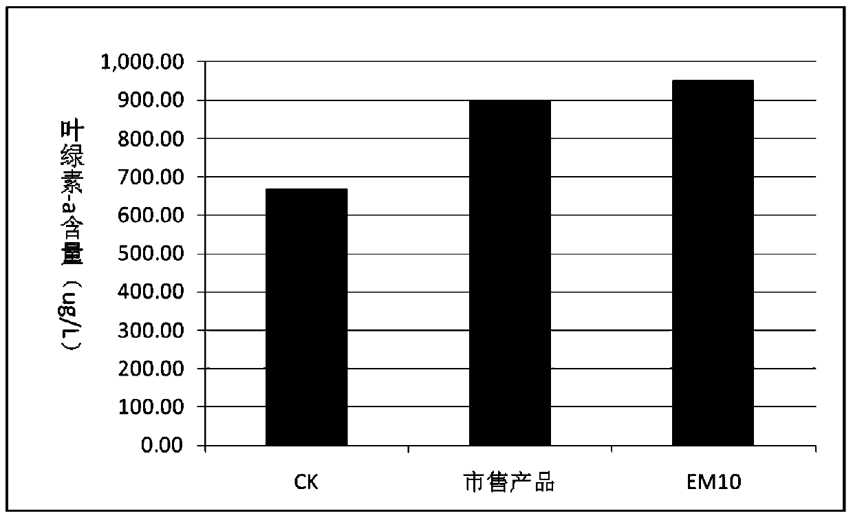 A kind of compound probiotics and preparation method thereof