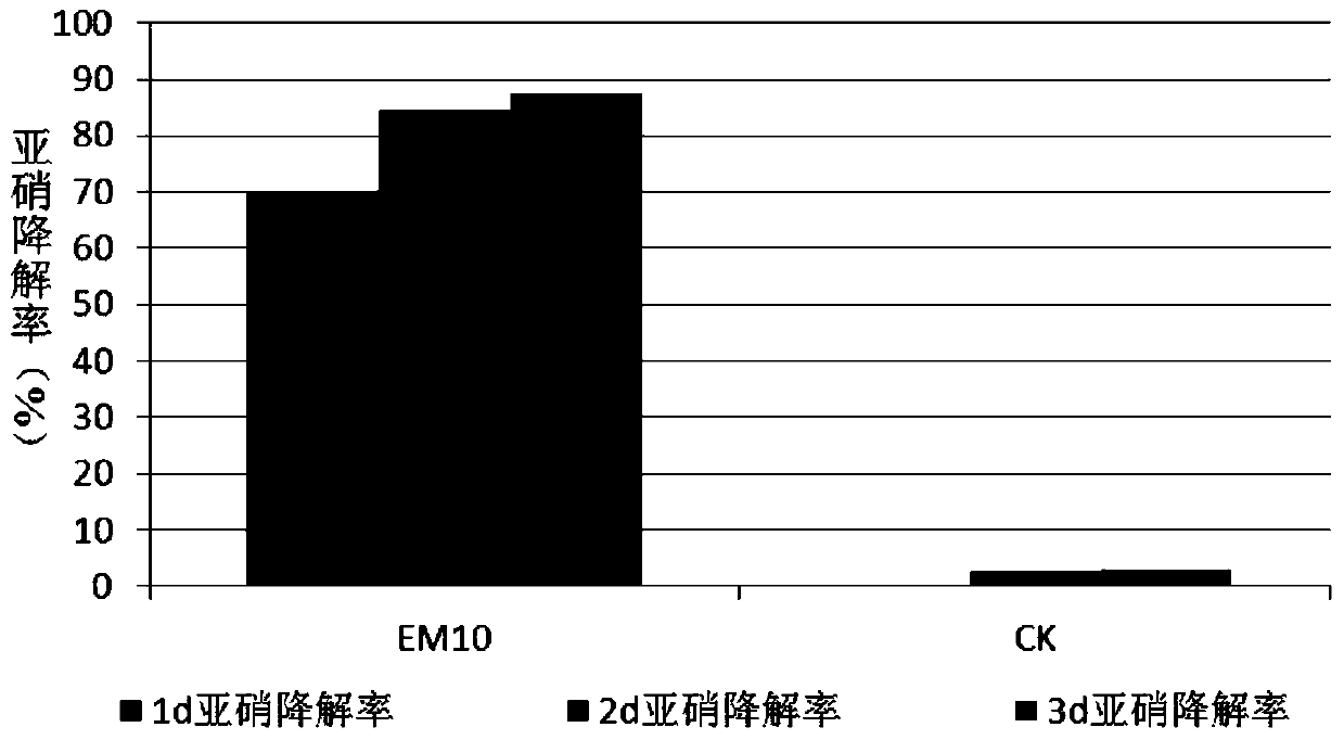 A kind of compound probiotics and preparation method thereof