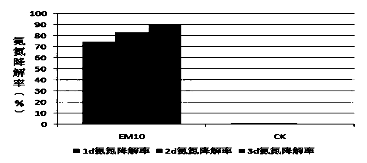 A kind of compound probiotics and preparation method thereof