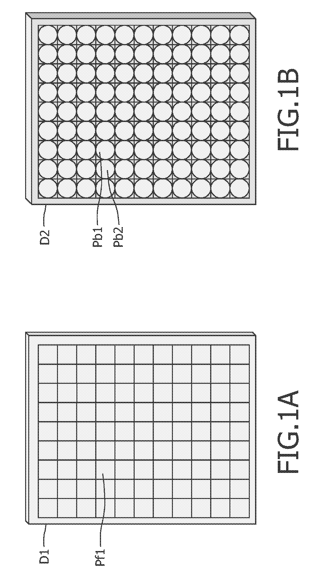 Dual display device