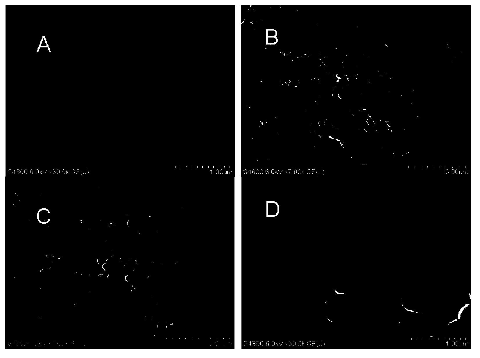 Cyclodextrin porous nanocapsule, and preparation method and use thereof