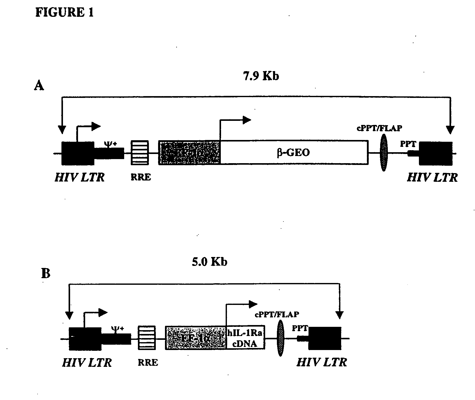 Method of treating arthritis using lentiviral vectors in gene therapy