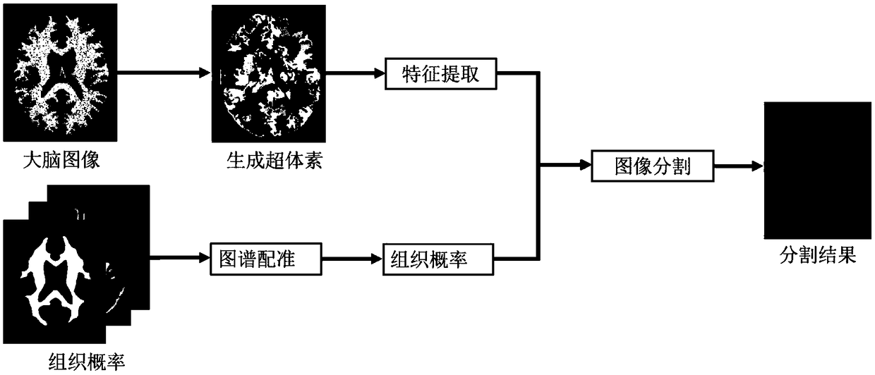 A brain tissue segmentation method based on regularized graph segmentation