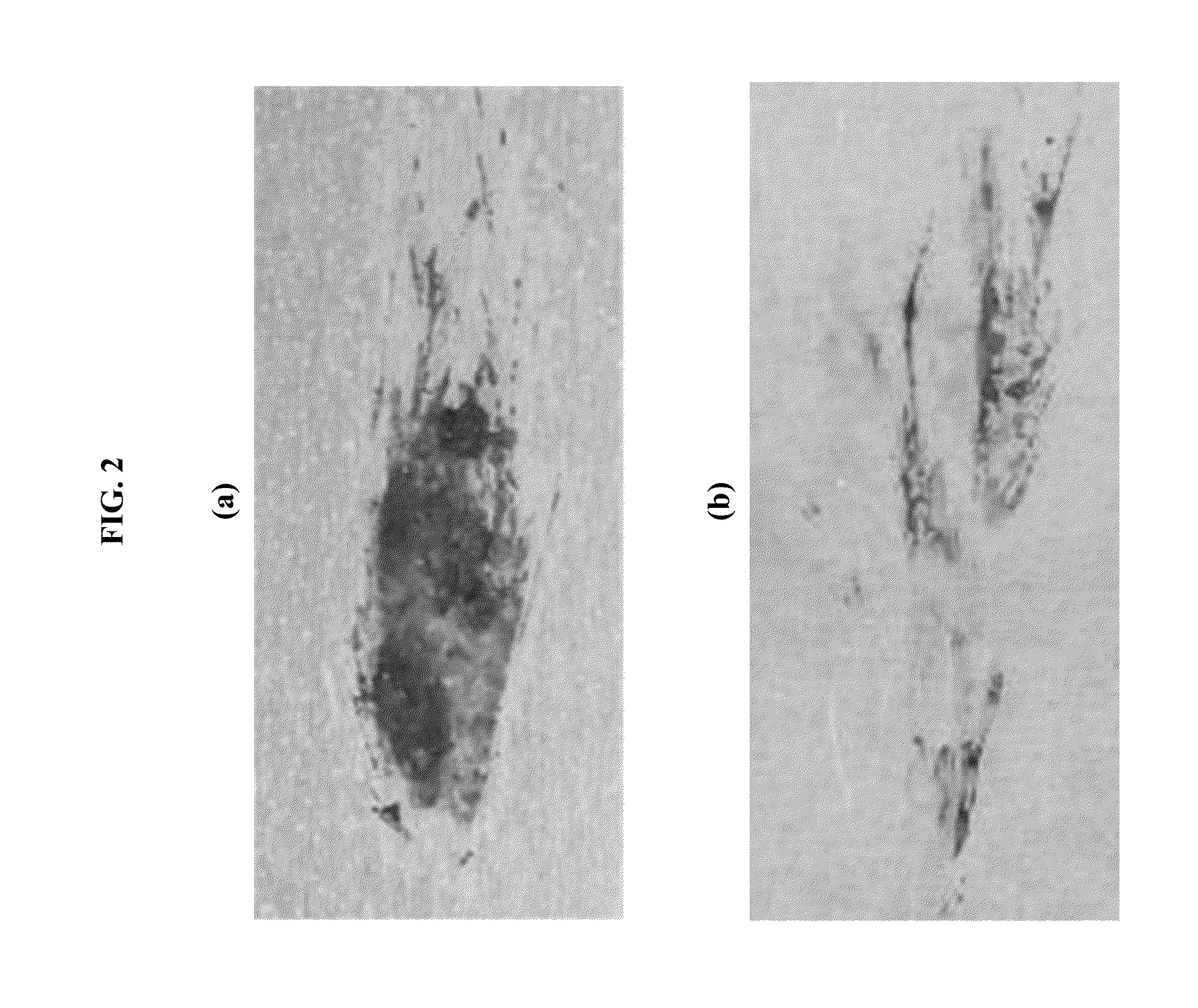 Low-friction fluorinated coatings