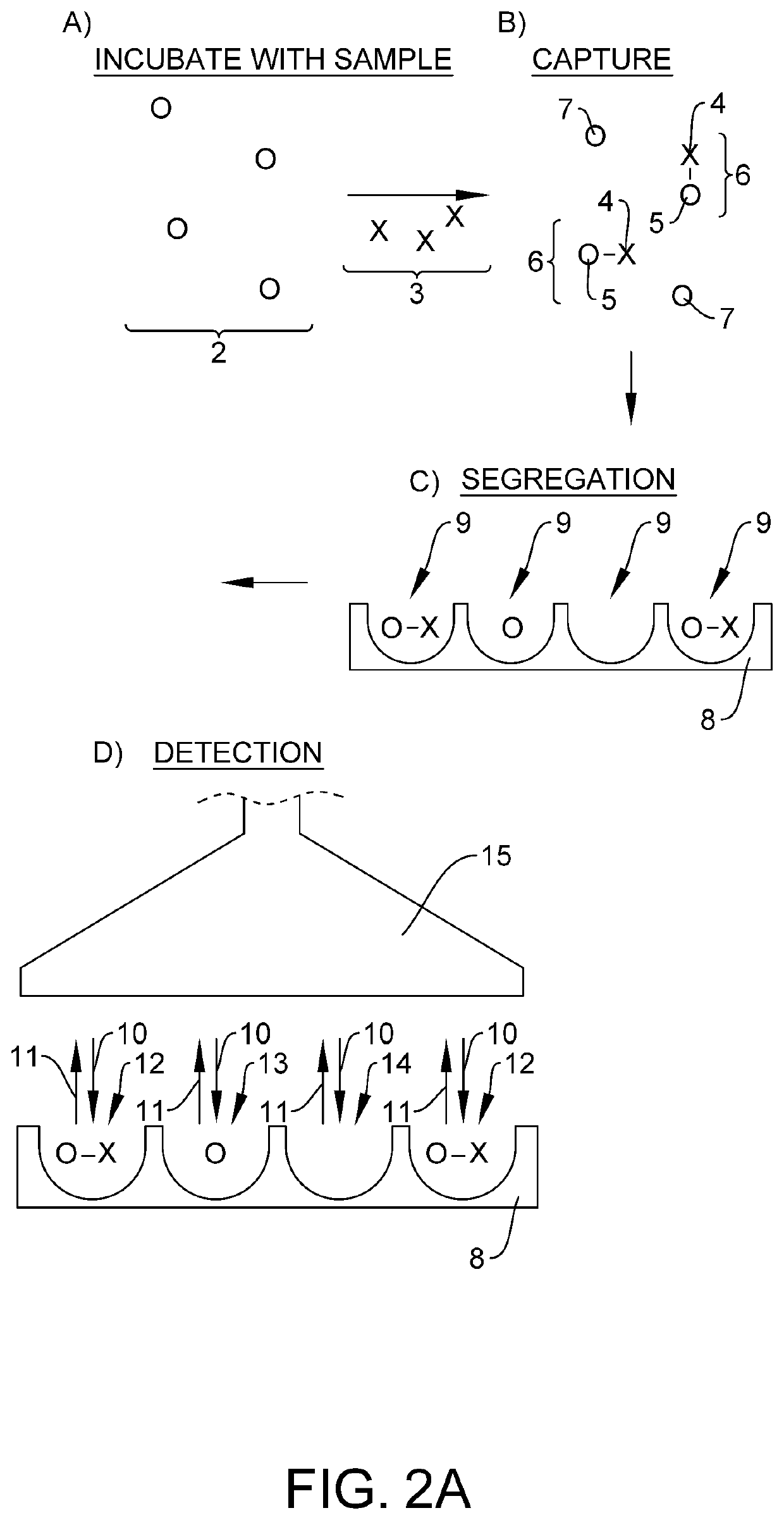 Quantification of neurofilament light chain in physiological samples