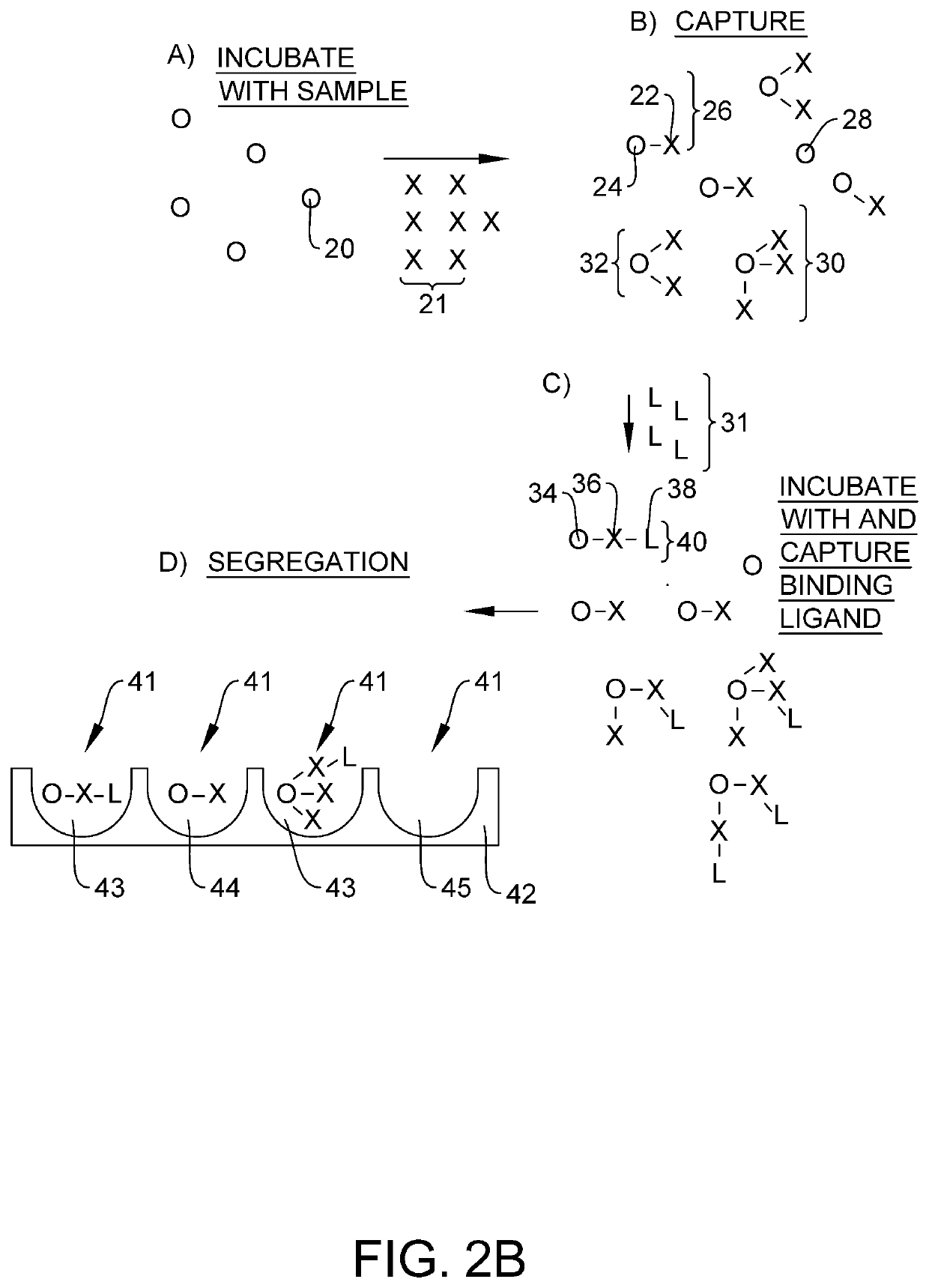 Quantification of neurofilament light chain in physiological samples