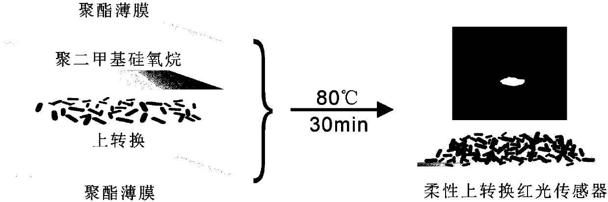 Flexible upconversion red light sensor for living body and preparation method of sensor