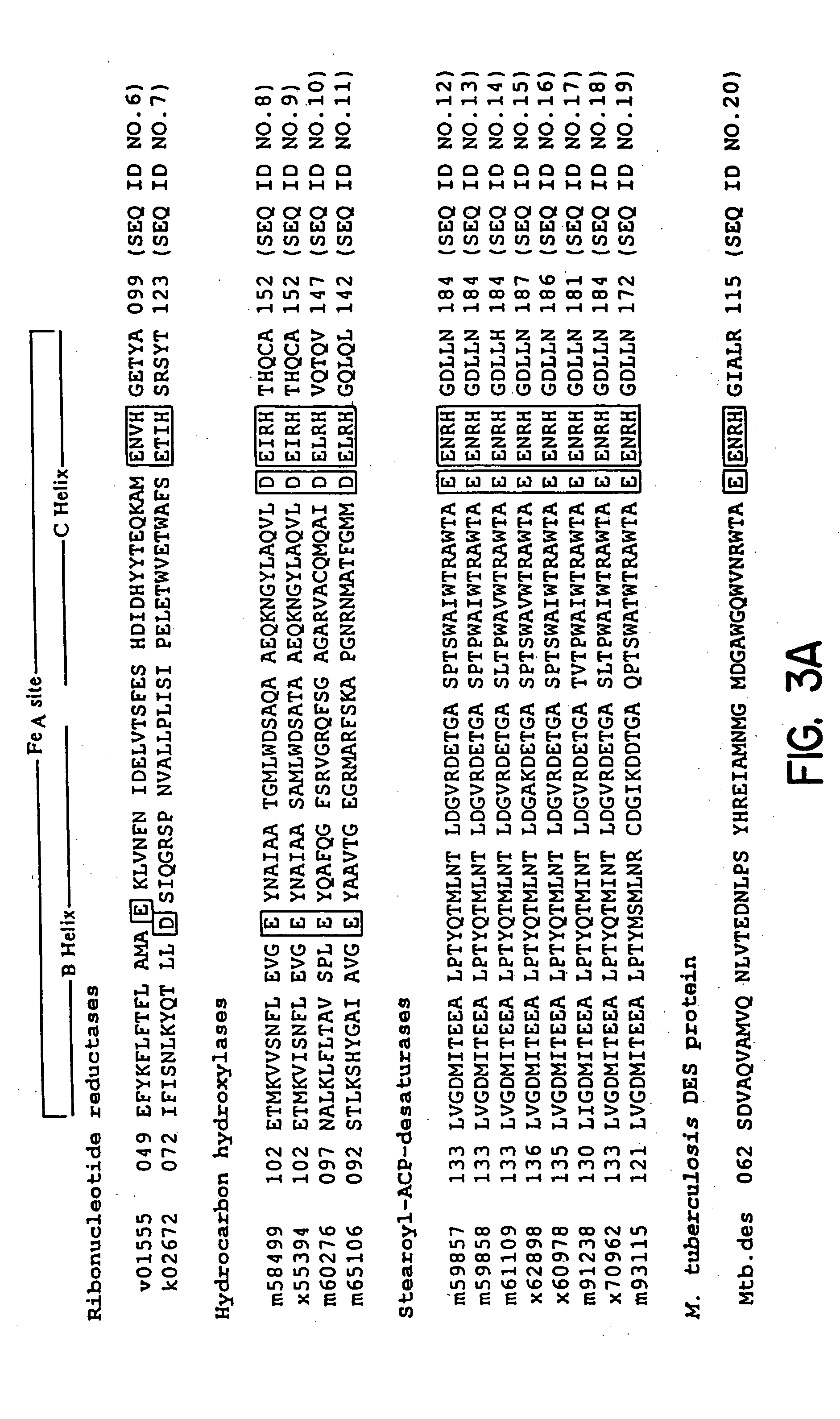 Method of screening anti-mycobacterial molecules