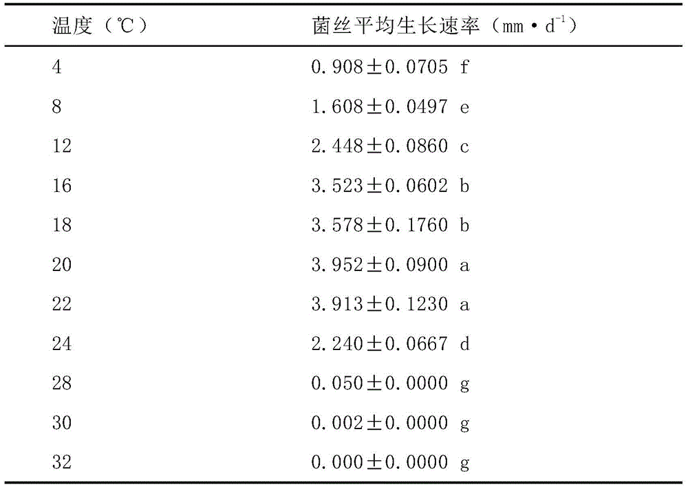 Living organism inoculation conidium generating method for quickly obtaining panax notoginseng round spot pathogenic bacterium conidia