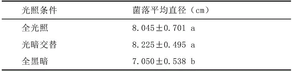 Living organism inoculation conidium generating method for quickly obtaining panax notoginseng round spot pathogenic bacterium conidia